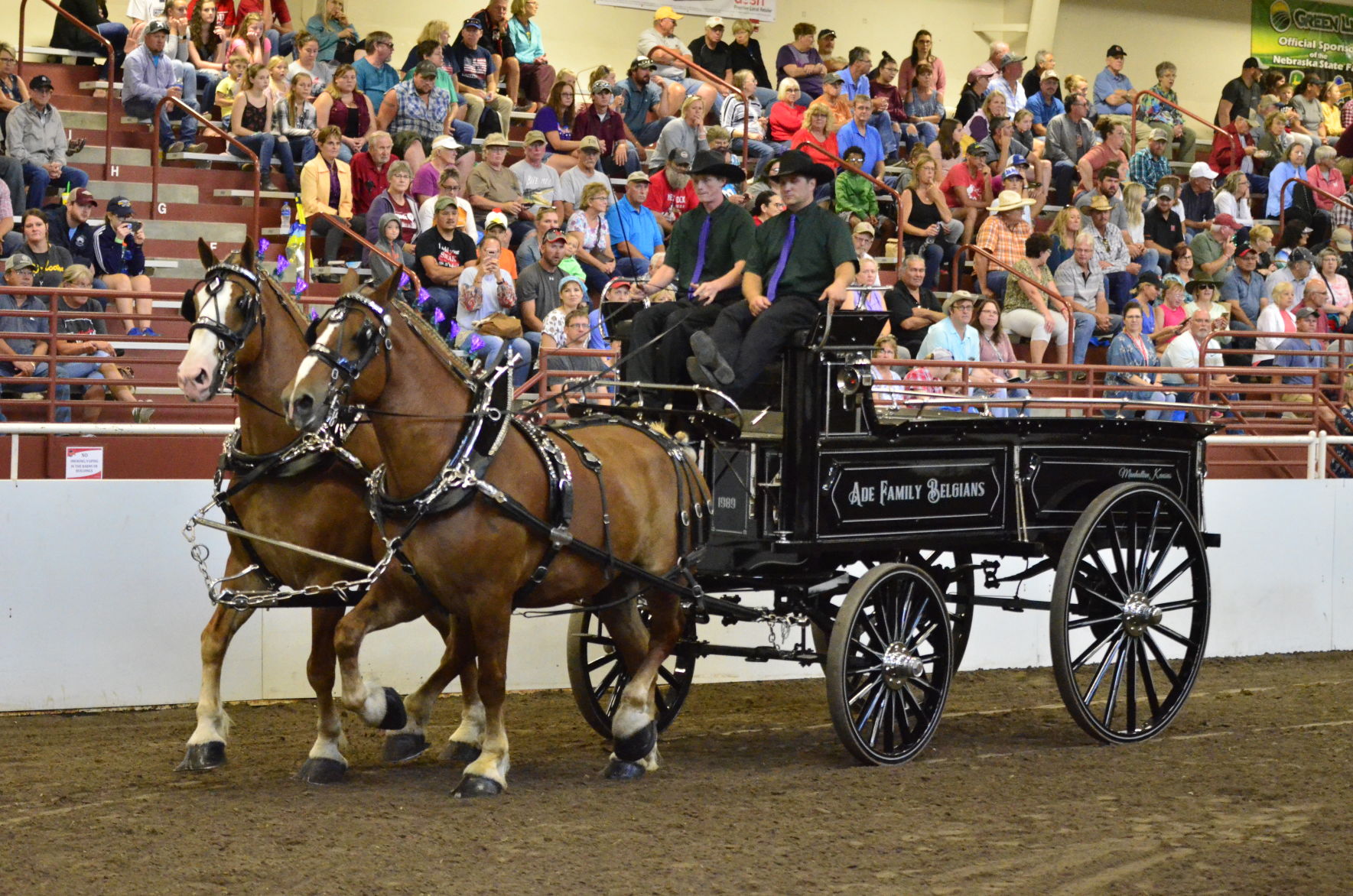 8-25-19 Draft Horse Hitch Final (52).JPG